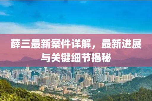 薛三最新案件詳解，最新進展與關鍵細節揭秘