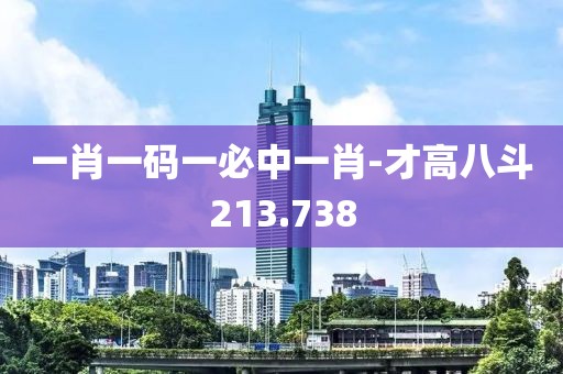 一肖一碼一必中一肖-才高八斗213.738