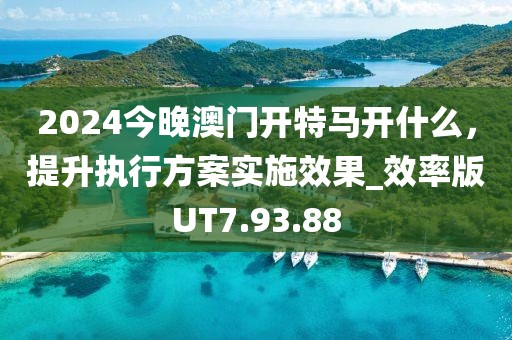 2024今晚澳門(mén)開(kāi)特馬開(kāi)什么，提升執(zhí)行方案實(shí)施效果_效率版UT7.93.88