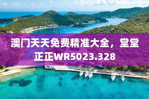 澳門天天免費精準大全,堂堂正正WR5023.328