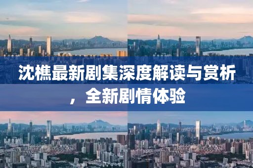 沈樵最新劇集深度解讀與賞析，全新劇情體驗