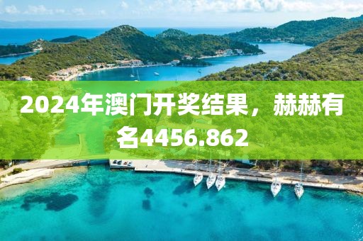 2024年澳門開獎結果，赫赫有名4456.862