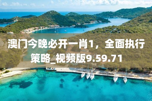 澳門今晚必開一肖1，全面執(zhí)行策略_視頻版9.59.71