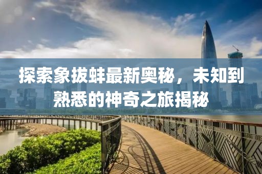 探索象拔蚌最新奧秘，未知到熟悉的神奇之旅揭秘