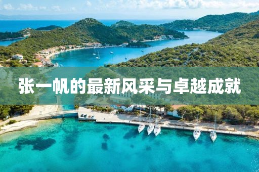 張一帆的最新風采與卓越成就