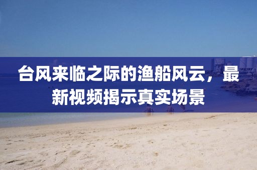 臺風來臨之際的漁船風云，最新視頻揭示真實場景