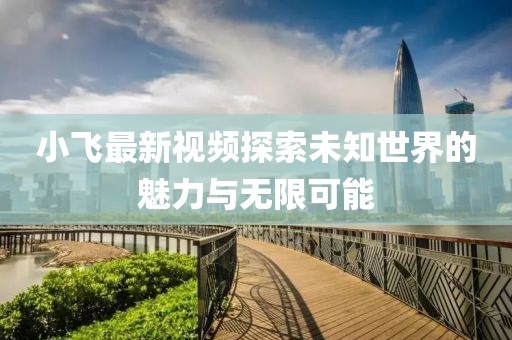 小飛最新視頻探索未知世界的魅力與無限可能