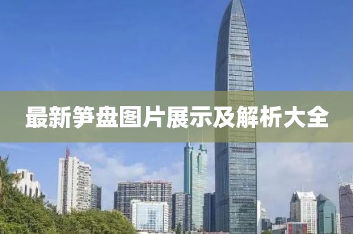 最新筍盤圖片展示及解析大全