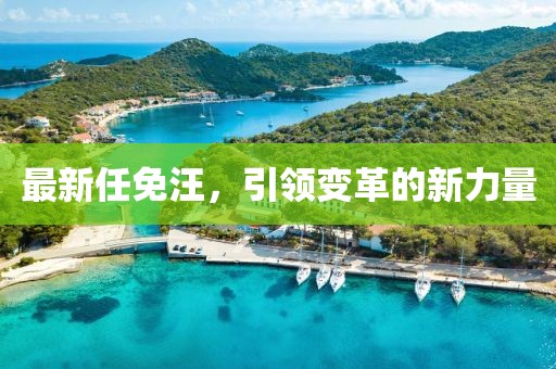 最新任免汪，引領變革的新力量