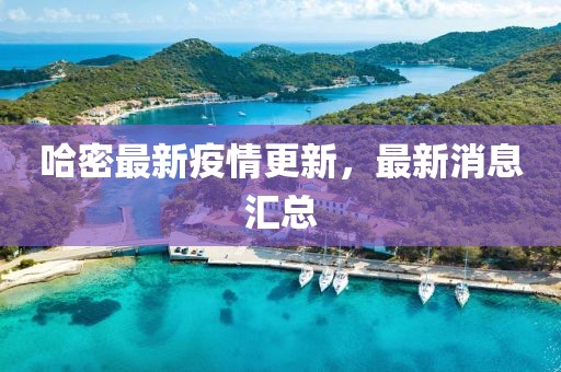 哈密最新疫情更新，最新消息匯總