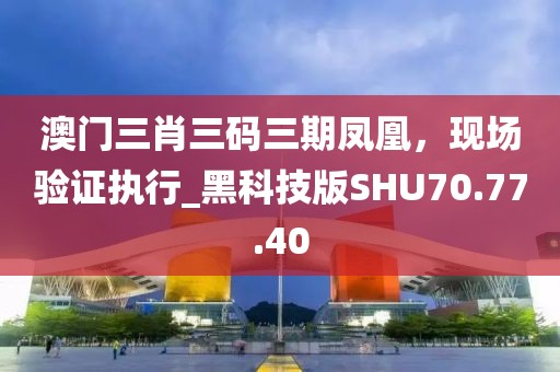 澳門三肖三碼三期鳳凰，現(xiàn)場驗證執(zhí)行_黑科技版SHU70.77.40