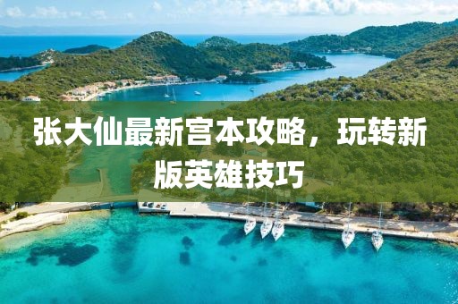 張大仙最新宮本攻略，玩轉新版英雄技巧