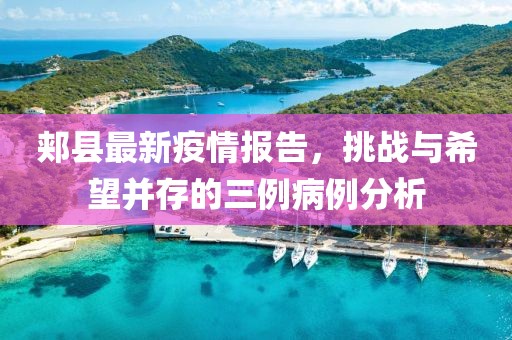 郟縣最新疫情報告，挑戰與希望并存的三例病例分析