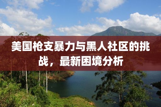 美國(guó)槍支暴力與黑人社區(qū)的挑戰(zhàn)，最新困境分析