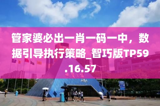 管家婆必出一肖一碼一中，數據引導執行策略_智巧版TP59.16.57
