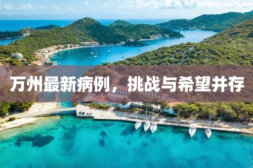 萬州最新病例，挑戰(zhàn)與希望并存