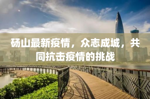 碭山最新疫情，眾志成城，共同抗擊疫情的挑戰