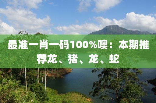 最準一肖一碼100%噢：本期推薦龍、豬、龍、蛇