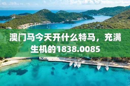 澳門馬今天開什么特馬，充滿生機的1838.0085