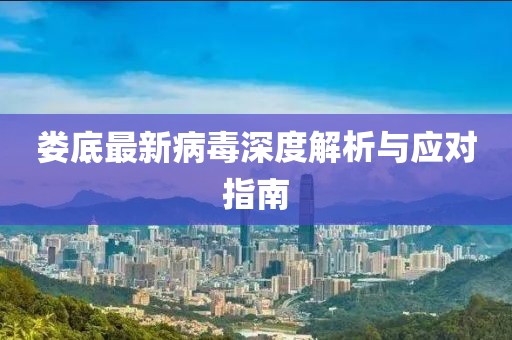 婁底最新病毒深度解析與應對指南