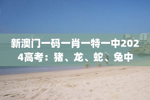 新澳門一碼一肖一特一中2024高考：豬、龍、蛇、兔中
