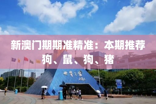 新澳門期期準精準：本期推薦狗、鼠、狗、豬