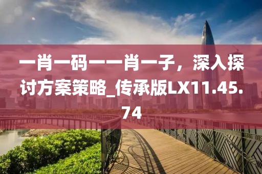 一肖一碼一一肖一子，深入探討方案策略_傳承版LX11.45.74