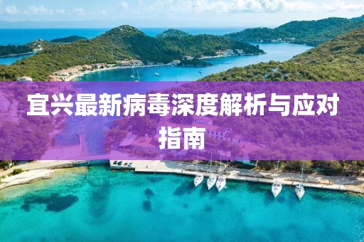 宜興最新病毒深度解析與應對指南