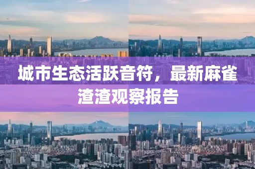 城市生態活躍音符，最新麻雀渣渣觀察報告