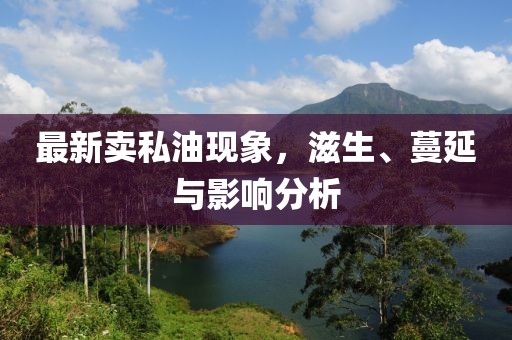 最新賣私油現(xiàn)象，滋生、蔓延與影響分析