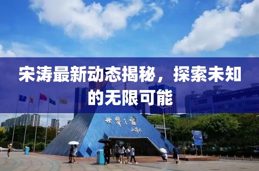 宋濤最新動態揭秘，探索未知的無限可能