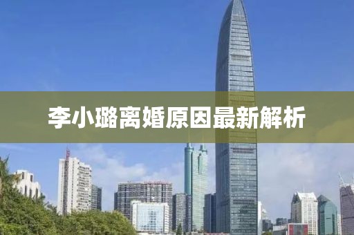 李小璐離婚原因最新解析