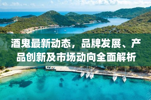 酒鬼最新動態，品牌發展、產品創新及市場動向全面解析