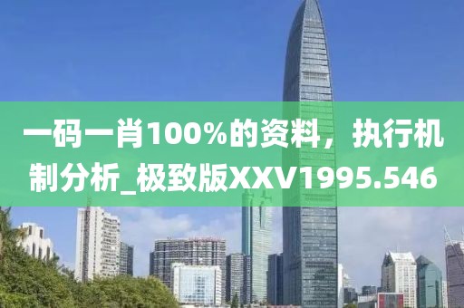 一碼一肖100%的資料，執行機制分析_極致版XXV1995.546