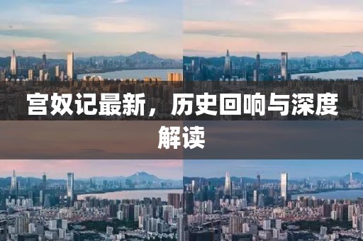 宮奴記最新，歷史回響與深度解讀
