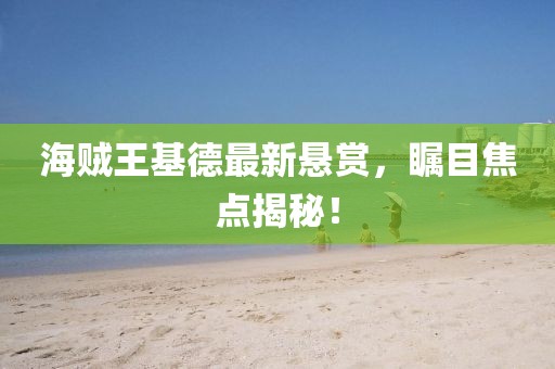 海賊王基德最新懸賞，矚目焦點揭秘！