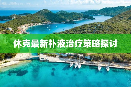 休克最新補液治療策略探討