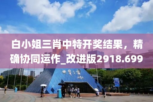 白小姐三肖中特開獎結果，精確協同運作_改進版2918.699