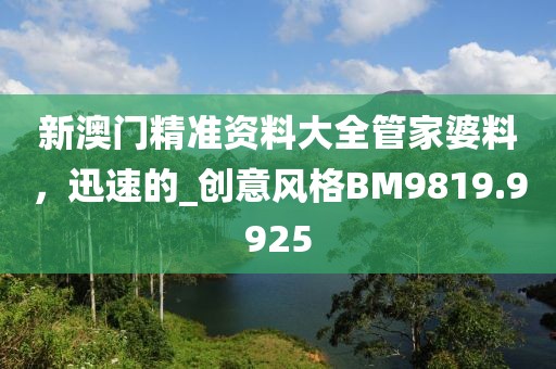 新澳門精準資料大全管家婆料，迅速的_創意風格BM9819.9925