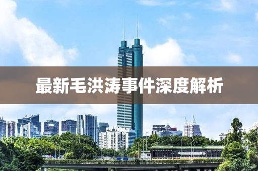最新毛洪濤事件深度解析