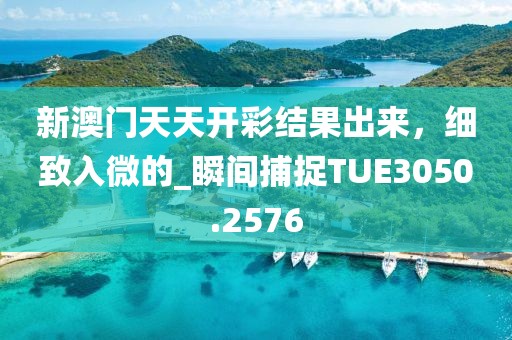 新澳門天天開彩結果出來，細致入微的_瞬間捕捉TUE3050.2576