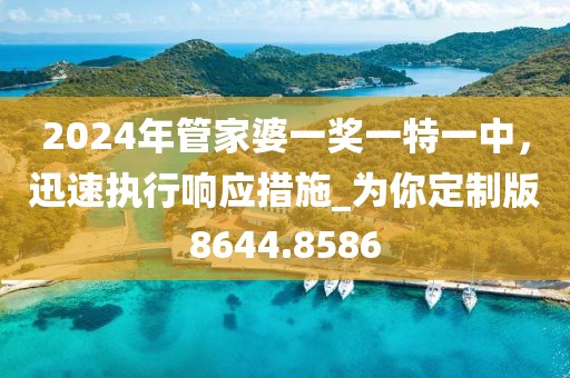 2024年管家婆一獎一特一中，迅速執行響應措施_為你定制版8644.8586