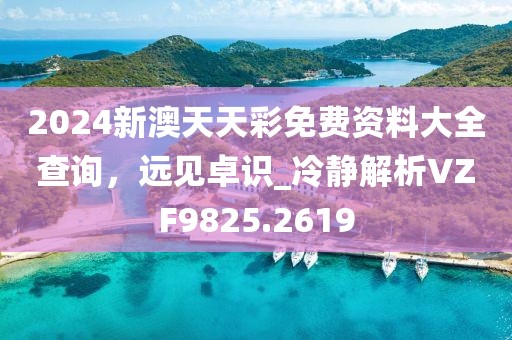 2024新澳天天彩免費(fèi)資料大全查詢，遠(yuǎn)見(jiàn)卓識(shí)_冷靜解析VZF9825.2619