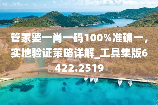 管家婆一肖一碼100%準(zhǔn)確一，實地驗證策略詳解_工具集版6422.2519