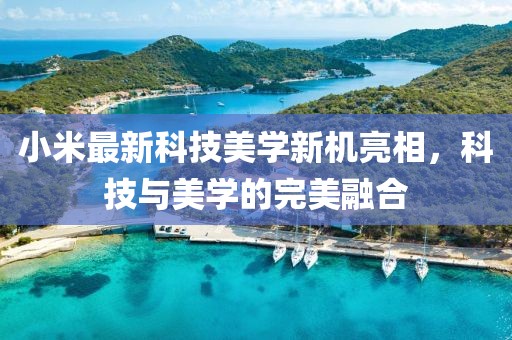 小米最新科技美學(xué)新機(jī)亮相，科技與美學(xué)的完美融合