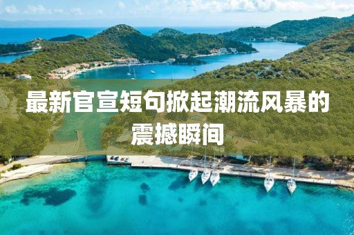 最新官宣短句掀起潮流風暴的震撼瞬間