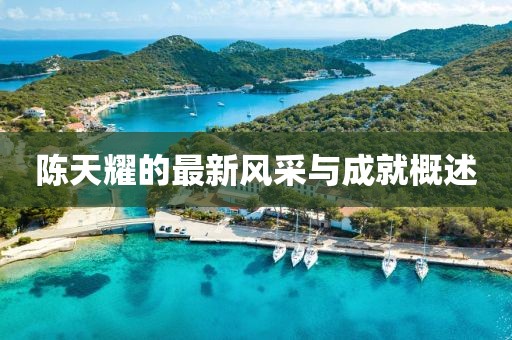 陳天耀的最新風(fēng)采與成就概述