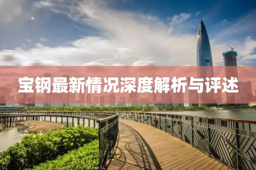 寶鋼最新情況深度解析與評述