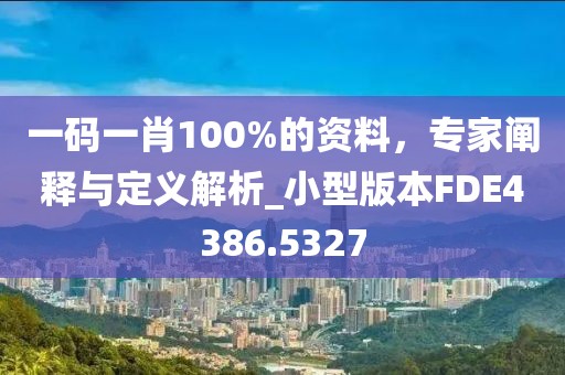 一碼一肖100%的資料，專家闡釋與定義解析_小型版本FDE4386.5327