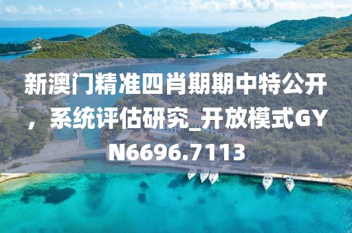 新澳門精準四肖期期中特公開，系統評估研究_開放模式GYN6696.7113